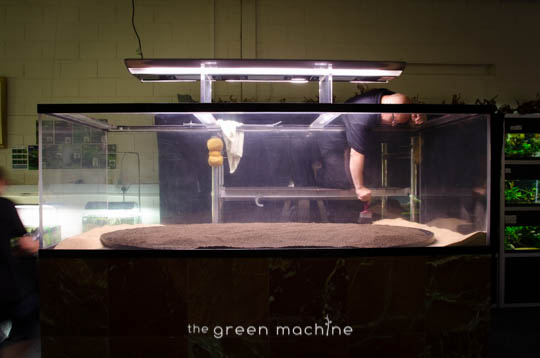 Arizona Aquascape by James Findley for The Green Machine