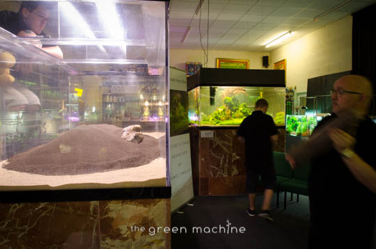 Arizona Aquascape by James Findley for The Green Machine