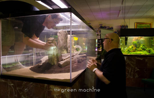 Arizona Aquascape by James Findley for The Green Machine