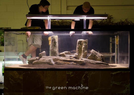 Arizona Aquascape by James Findley for The Green Machine