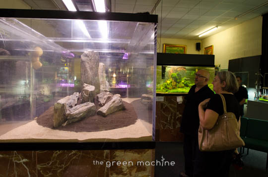 Arizona Aquascape by James Findley for The Green Machine