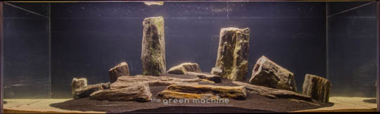 Arizona Aquascape by James Findley for The Green Machine