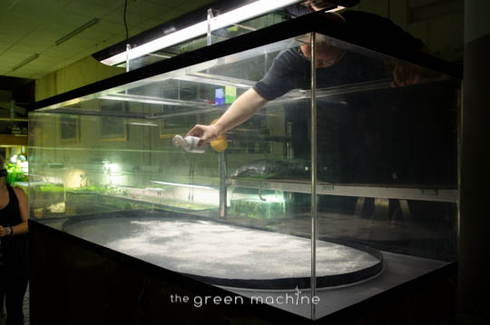 Arizona Aquascape by James Findley for The Green Machine