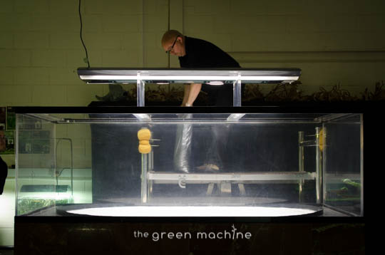 Arizona Aquascape by James Findley for The Green Machine