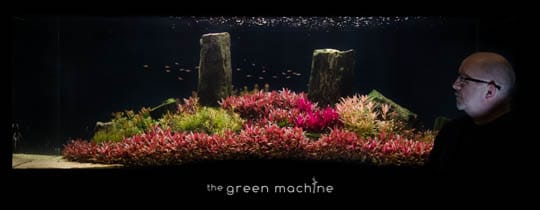 Arizona Aquascape by James Findley for The Green Machine