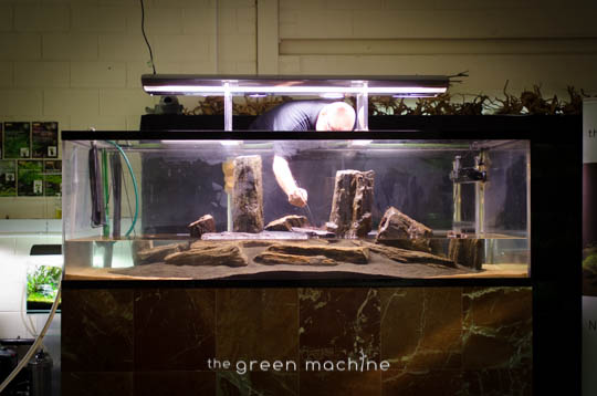 Arizona Aquascape by James Findley for The Green Machine