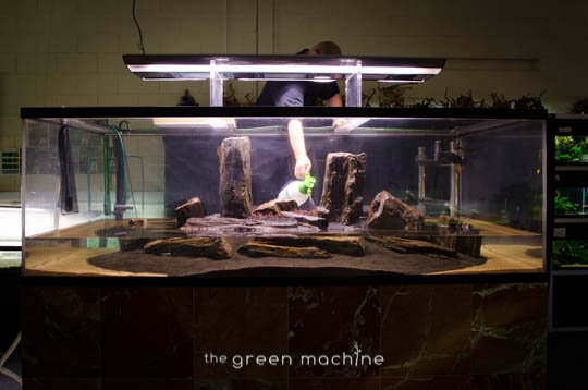 Arizona Aquascape by James Findley for The Green Machine