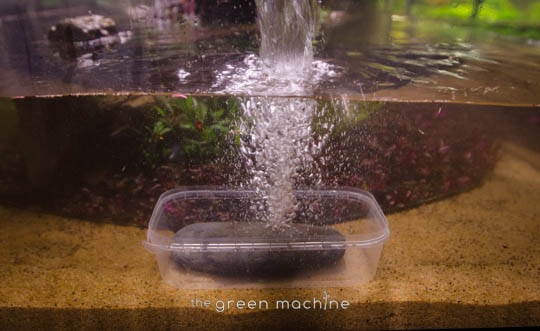 Arizona Aquascape by James Findley for The Green Machine