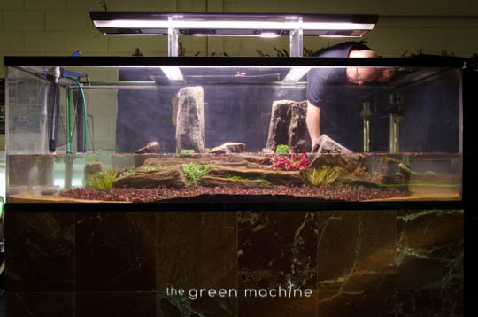 Arizona Aquascape by James Findley for The Green Machine