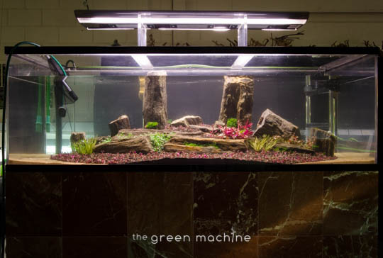 Arizona Aquascape by James Findley for The Green Machine