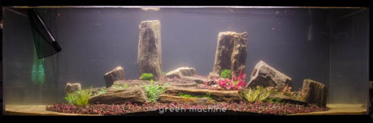 Arizona Aquascape by James Findley for The Green Machine