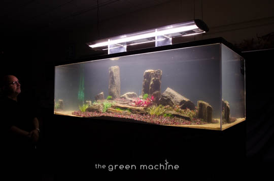 Arizona Aquascape by James Findley for The Green Machine