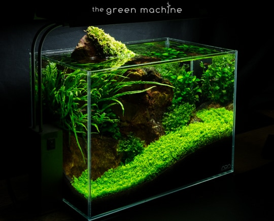Red Rock Aquascape by James Findley for The Green Machine