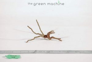 Product Image at The Green Machine