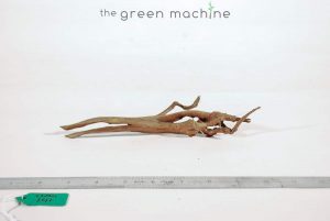 Product Image at The Green Machine