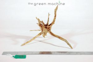 Product Image at The Green Machine