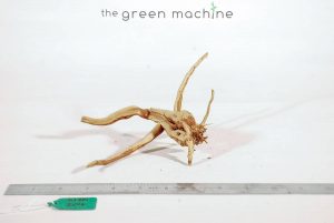 Product Image at The Green Machine