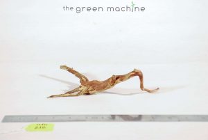 Product Image at The Green Machine