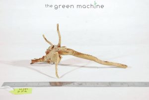 Product Image at The Green Machine