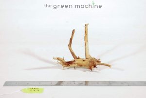 Product Image at The Green Machine