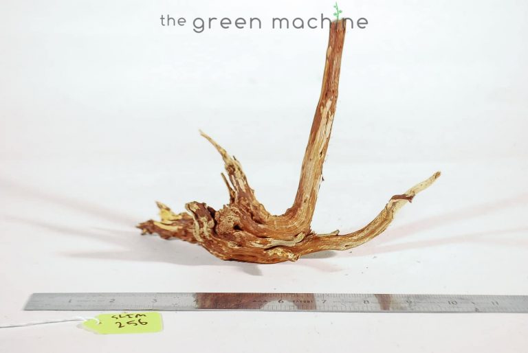 Product Image at The Green Machine