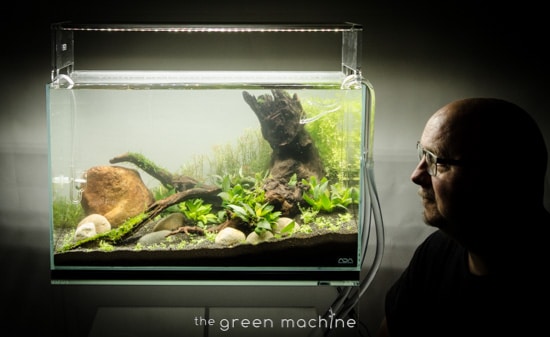 Sticks and Stones Aquascape Nature Aquarium by James Findley for The Green Machine