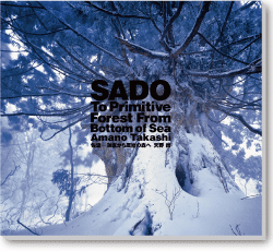 SADO - To Primitive Forest from Bottom of Sea ENGLISH Version - book by Takashi