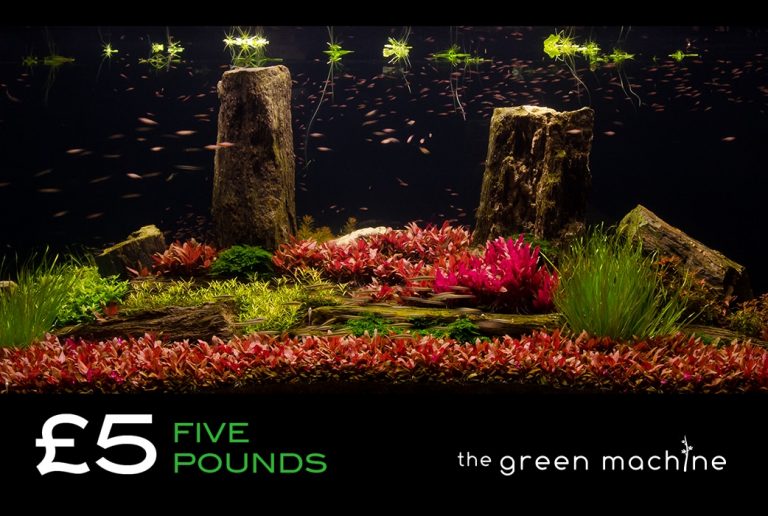 £5 Gift Voucher/Certificate for The Green Machine Aquascaping Store