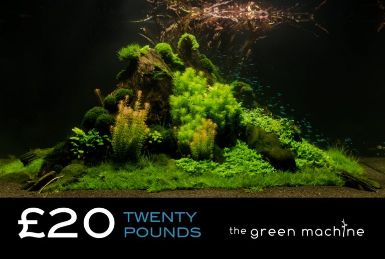 £20 Gift Voucher/Certificate for The Green Machine Aquascaping Store