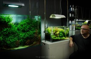 James Findley at The Green Machine with some of his aquascapes