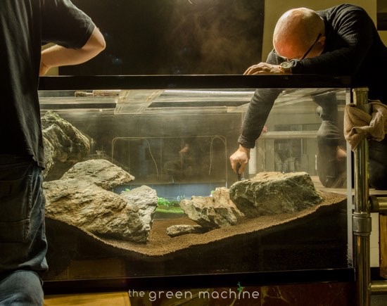 James Findley hardscaping his aquascape 'Spontaneity'