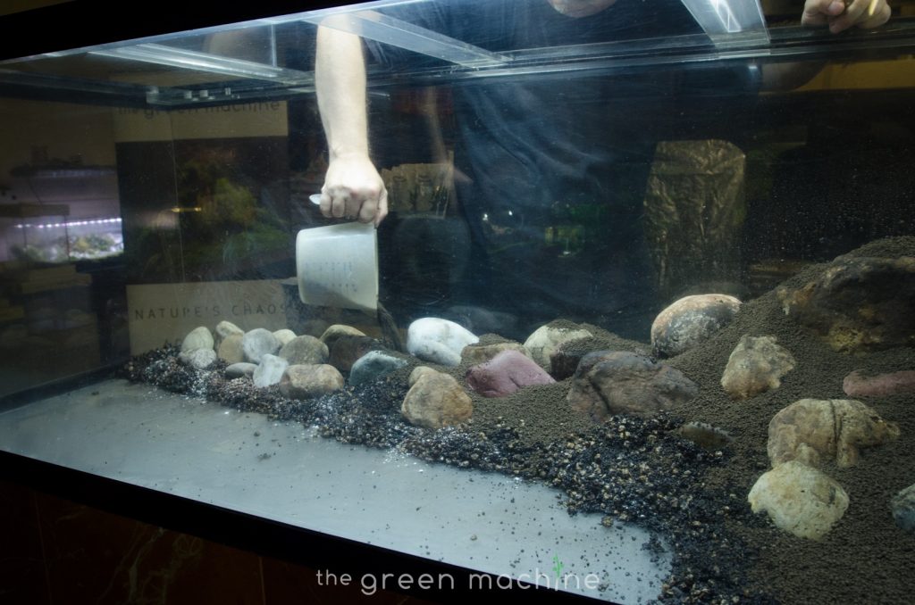 Pebbles-Aquascape-Takashi-Amano-James-Findley-14 – Aquascape Art – The ...