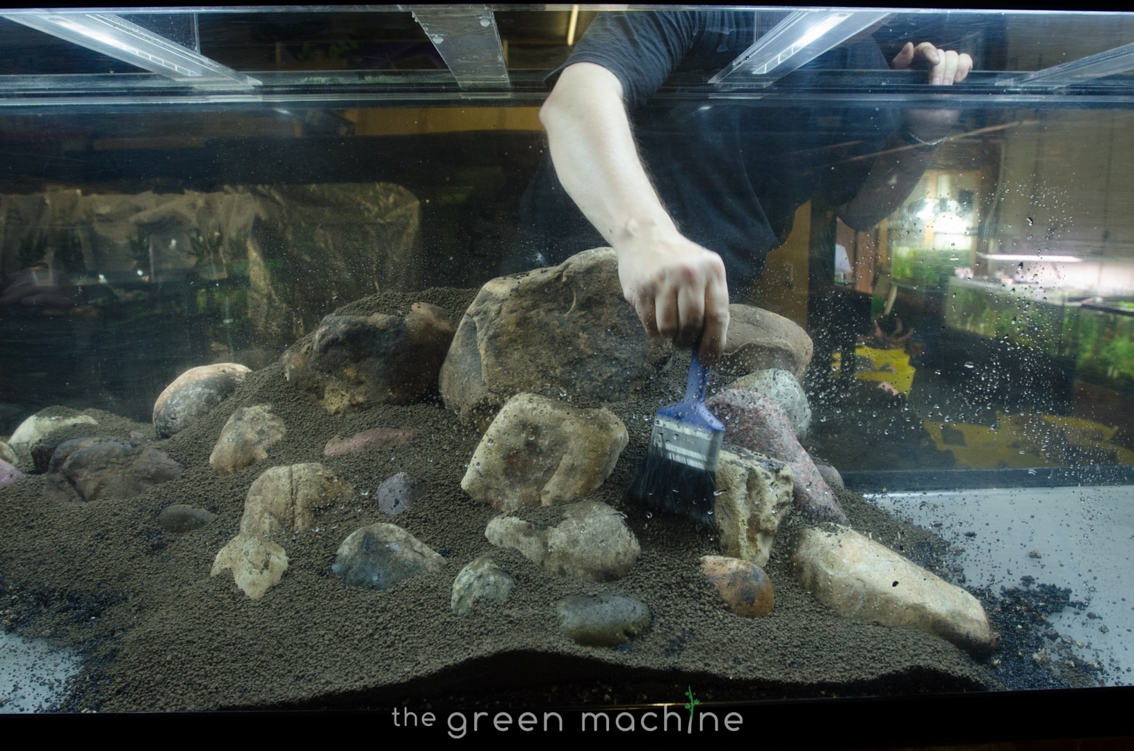 Pebbles-Aquascape-Takashi-Amano-James-Findley-15 – Aquascape Art – The  Green Machine