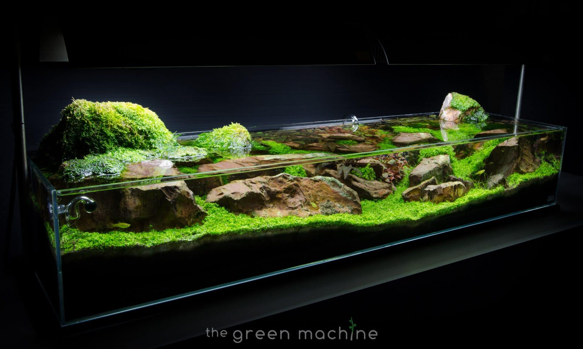 Continuity Aquascape Video & Gallery by James Findley – Aquascape