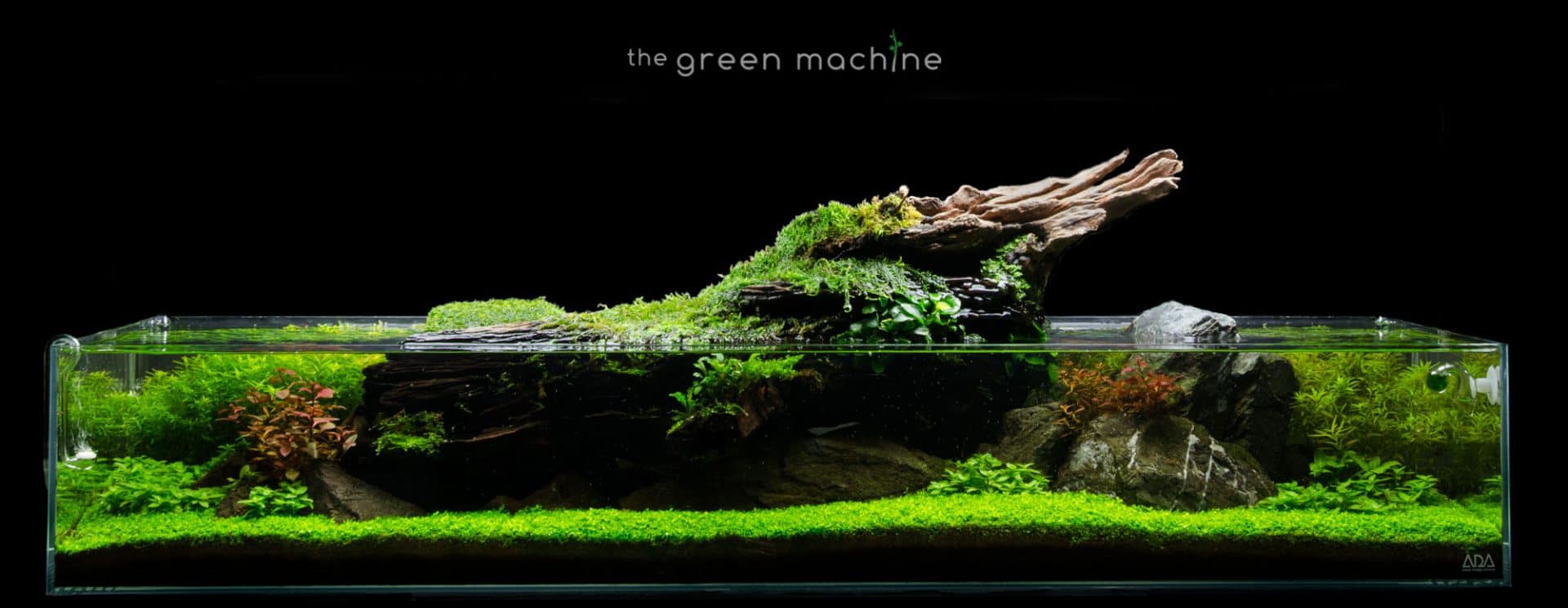 Aquascape Tutorial Video: Simplicity by James Findley – Aquascape Art – The  Green Machine